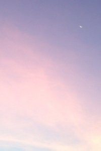 上海申花战胜对手，稳固亚冠出线形势