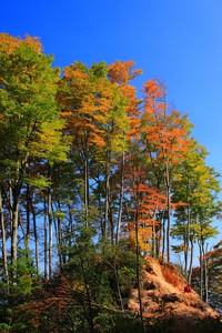 比利时客场战胜丹麦欧国联小组出线在望