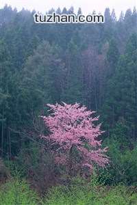 革伦贝可望队战胜摩尔多瓦队，备战欧洲杯