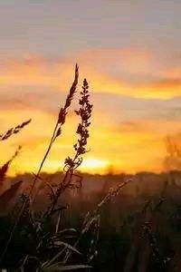 热火全队搏命，惜败于绿衫军