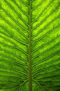 尤文图斯客场逆转拜仁慕尼黑，小组第三