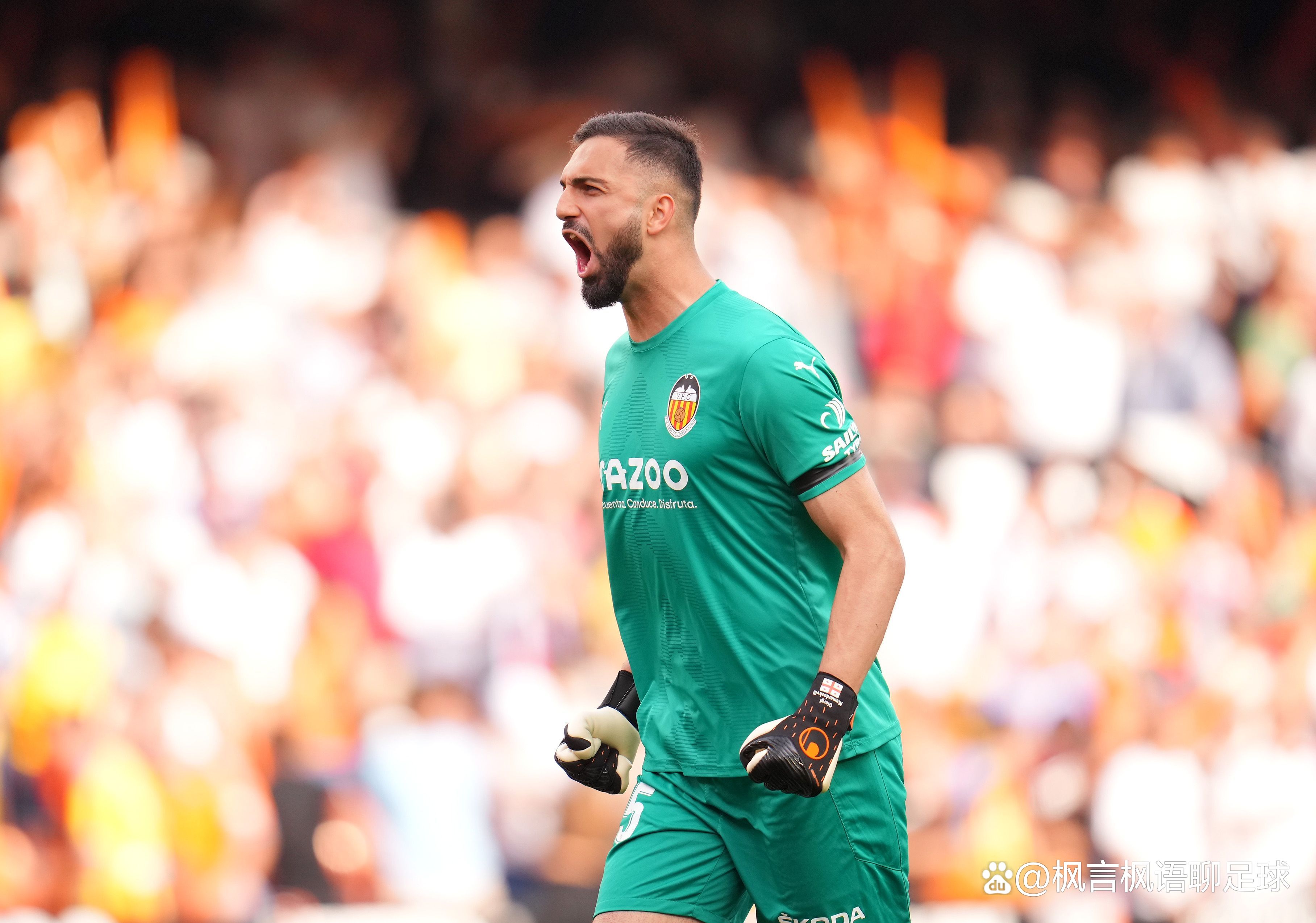 巴伦西亚队凭借团队合作实现胜利